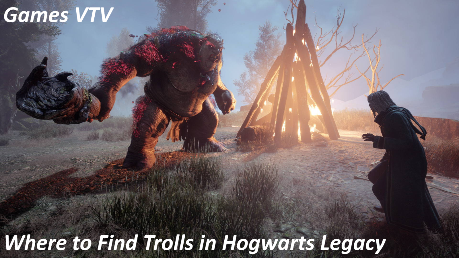 Where to Find Trolls in Hogwarts Legacy