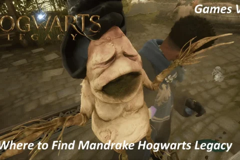 Where to Find Mandrake Hogwarts Legacy