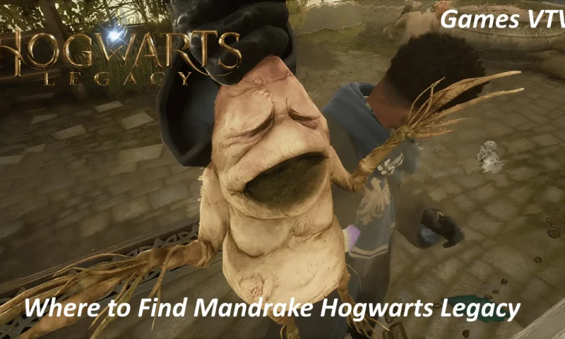 Where to Find Mandrake Hogwarts Legacy